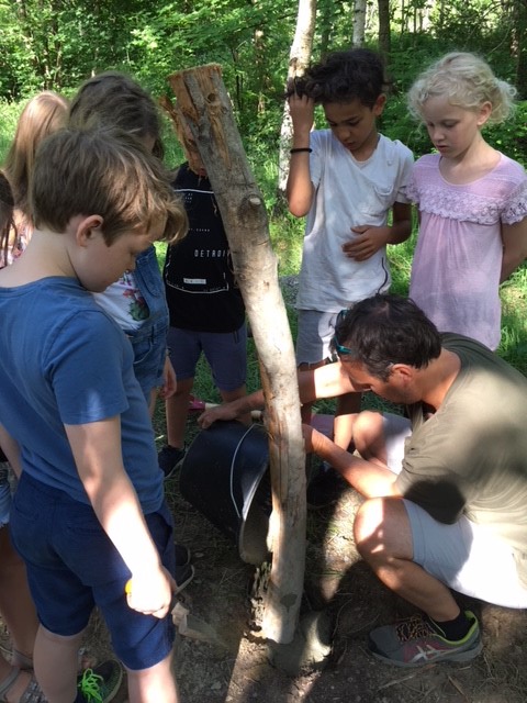 4 klasse på steinerskolen i stavanger